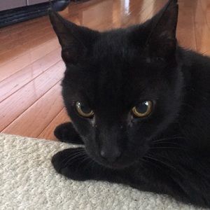 Meet your Posher, Laura